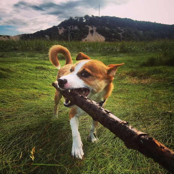 Meet your Posher, Rebecca - Picture 5 of 5